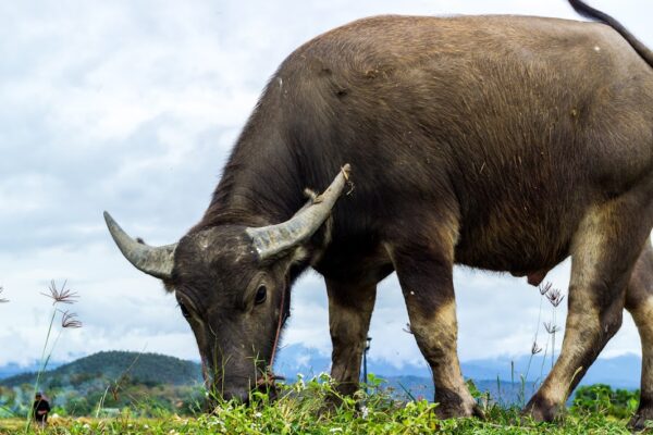 Yoga for Every Body: Explore Our Diverse Class Schedule in Dubai